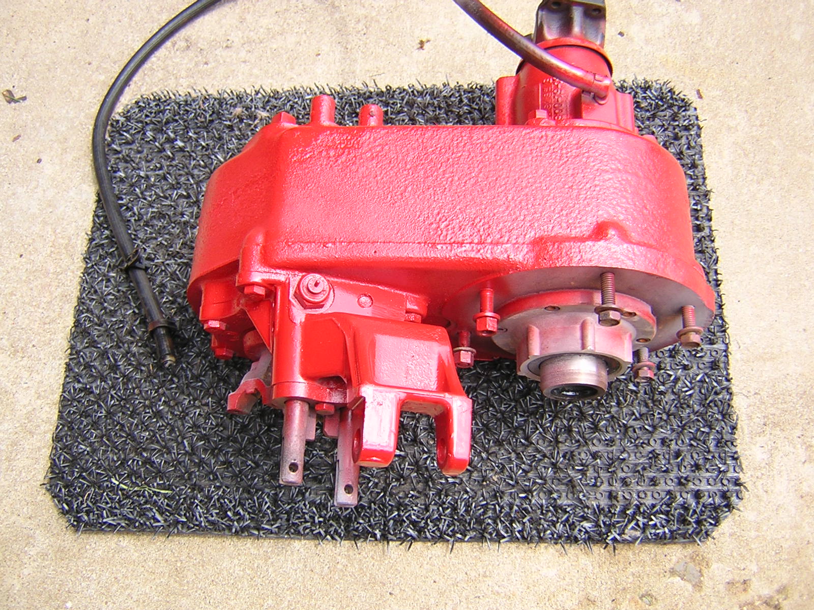 Cherry Dana 300